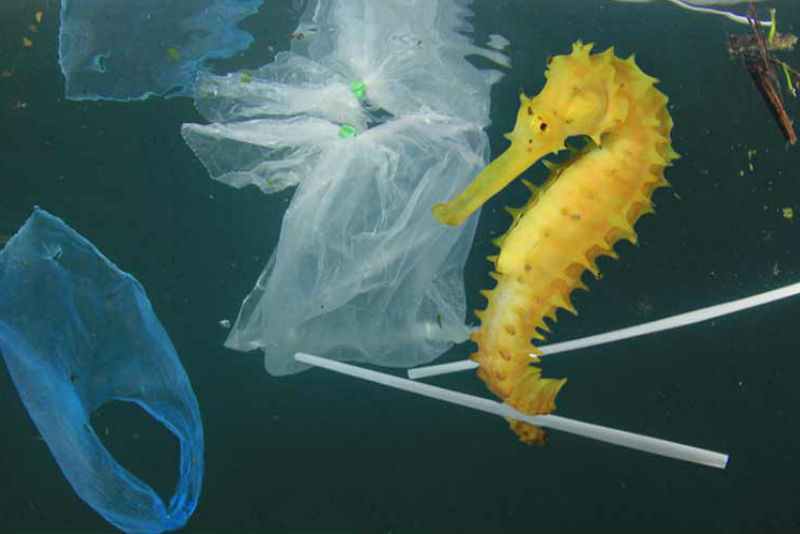 Protecting our seas and oceans through recycling