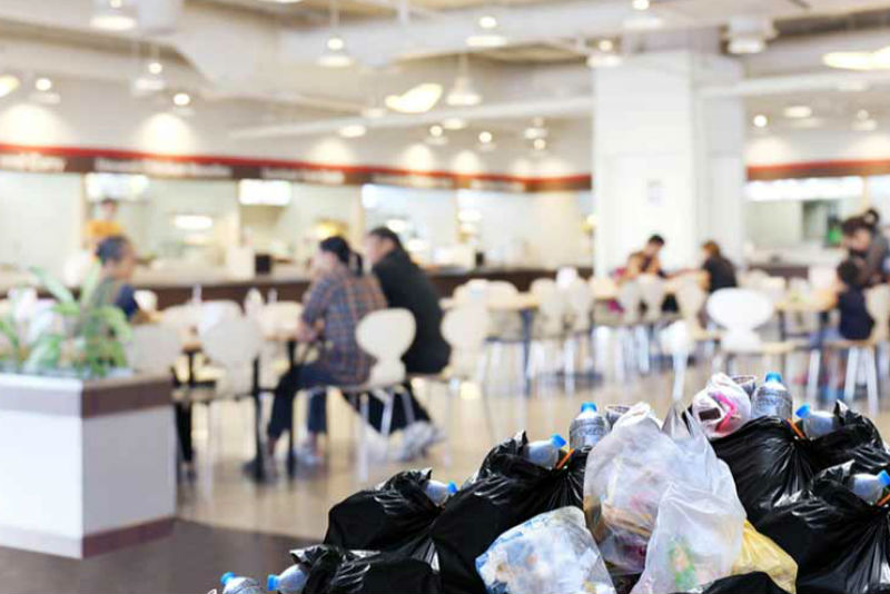 Steps to take to reduce your waste and environmental impact