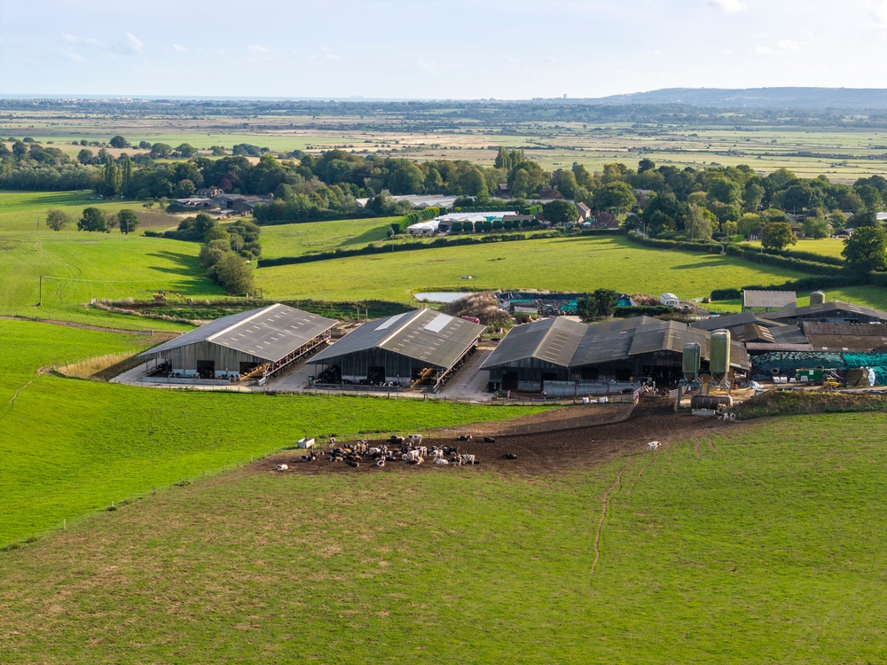 Waste Management Solutions for Small vs. Large UK Businesses 