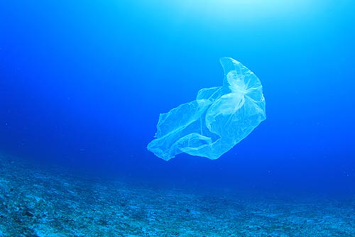 The impact of plastic on the planet