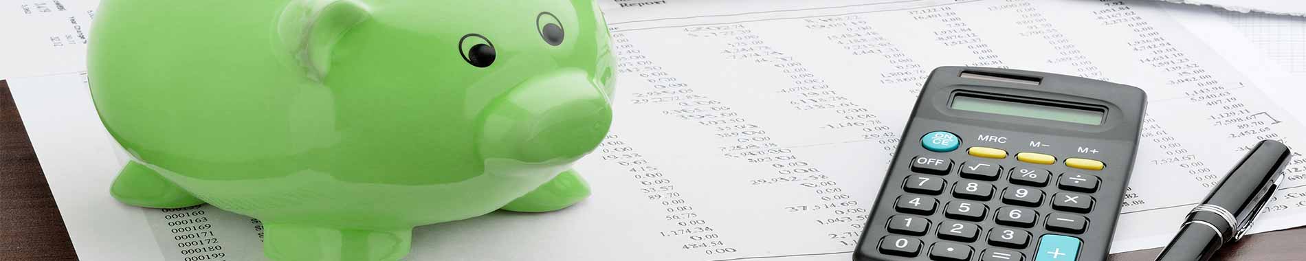 phs wastekit green piggy bank