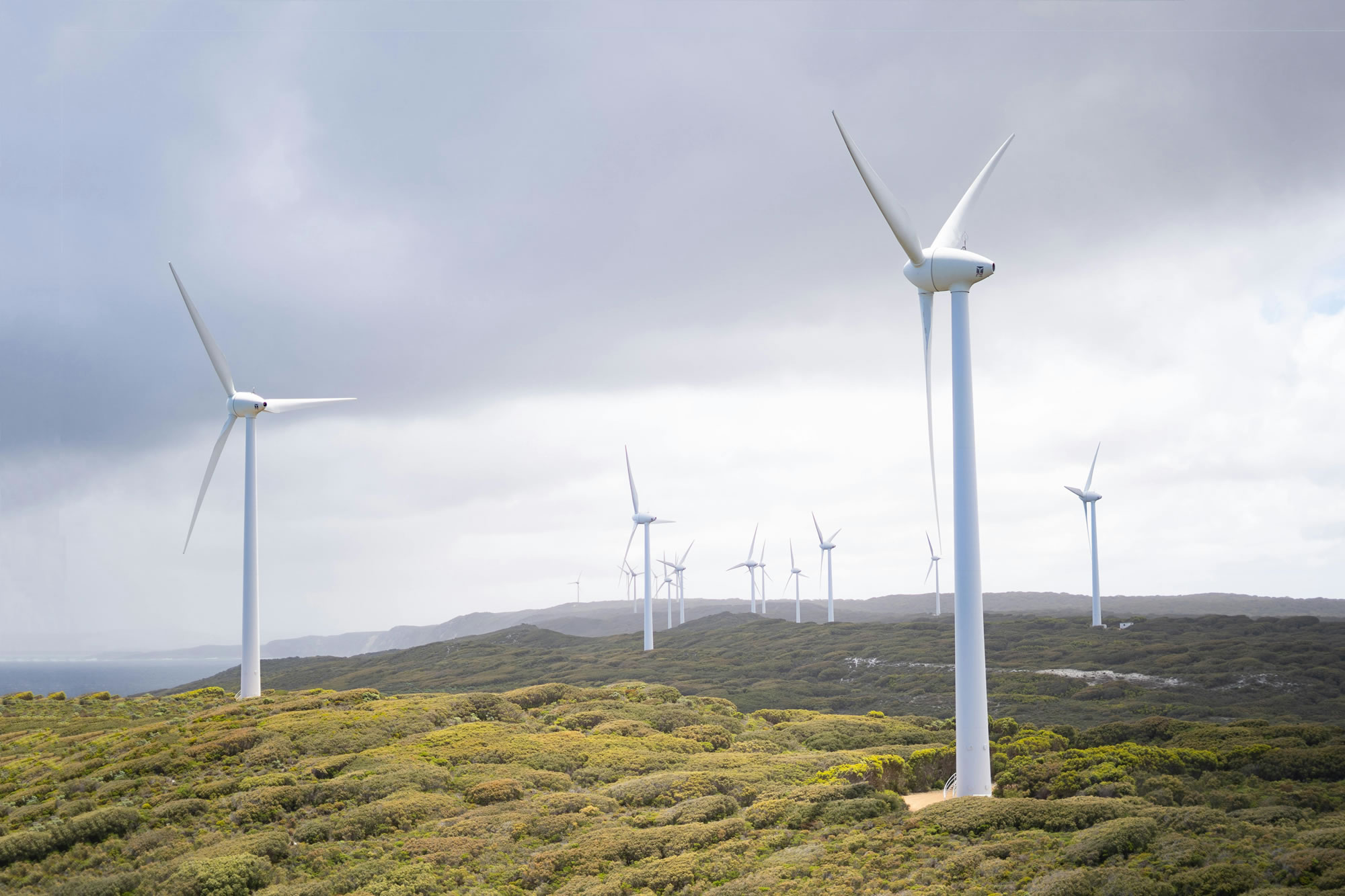 wind farm